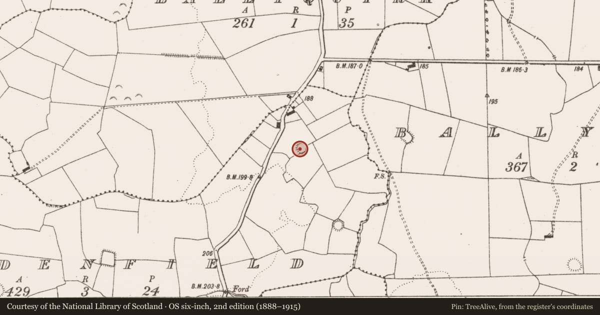 Ordnance Survey six-inch map, 2nd edition (1888–1915) covering the location of Ringfort - rath, Gardenfield, County Limerick, with a pin at the register's coordinates