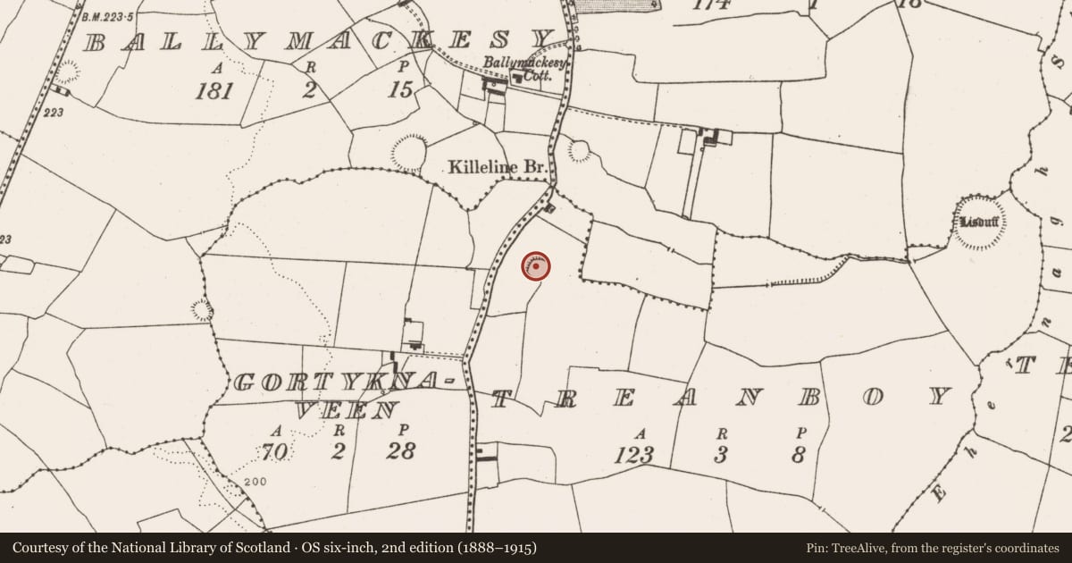 Ordnance Survey six-inch map, 2nd edition (1888–1915) covering the location of Ringfort - rath, Treanboy, County Limerick, with a pin at the register's coordinates