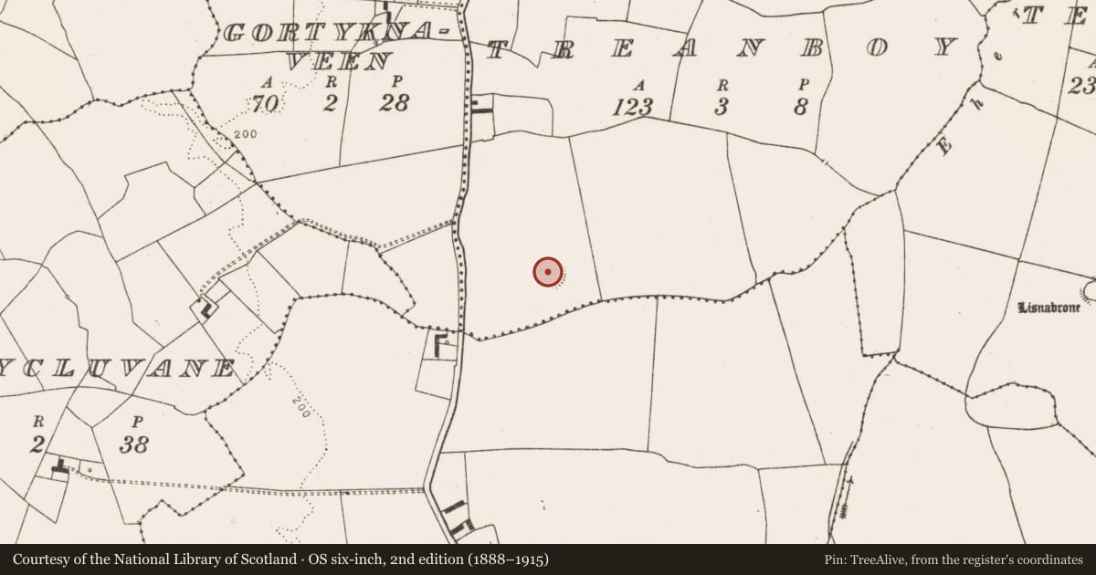 Ordnance Survey six-inch map, 2nd edition (1888–1915) covering the location of Ringfort - rath, Treanboy, County Limerick, with a pin at the register's coordinates