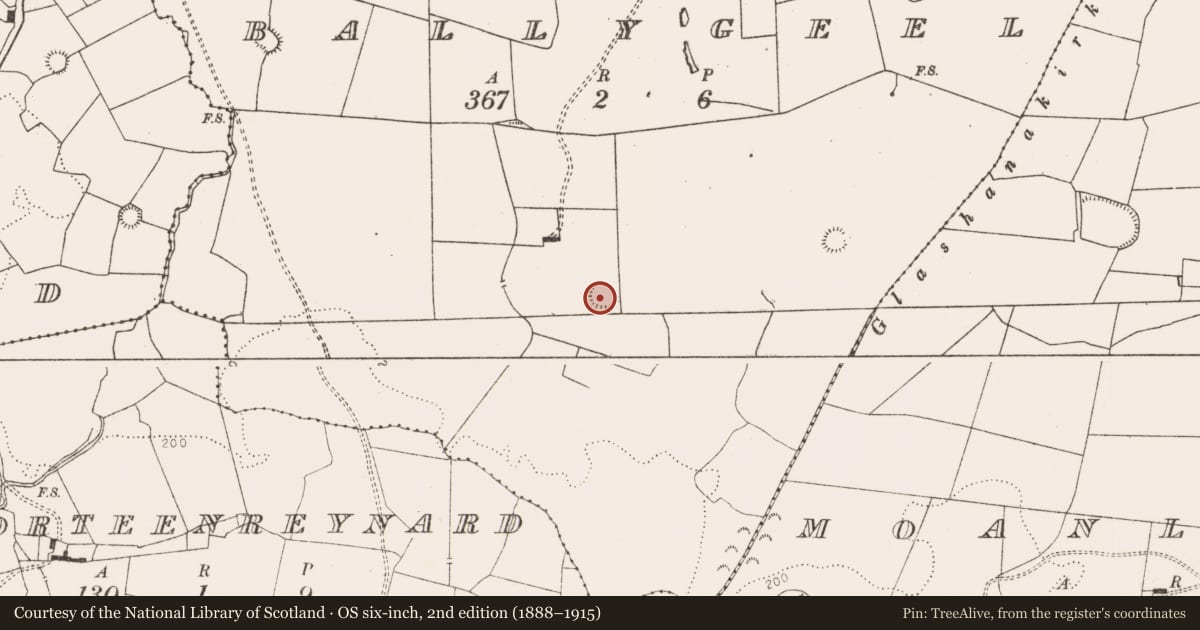 Ordnance Survey six-inch map, 2nd edition (1888–1915) covering the location of Ringfort - rath, Ballygeel, County Limerick, with a pin at the register's coordinates