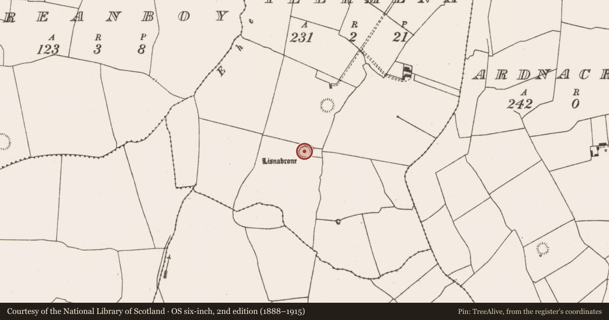 Ordnance Survey six-inch map, 2nd edition (1888–1915) covering the location of Ringfort - rath, Teermena, County Limerick, with a pin at the register's coordinates