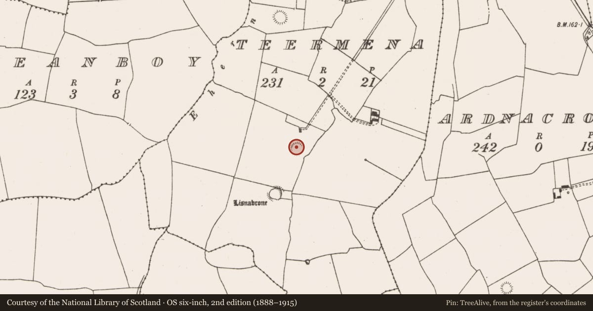 Ordnance Survey six-inch map, 2nd edition (1888–1915) covering the location of Ringfort - rath, Teermena, County Limerick, with a pin at the register's coordinates