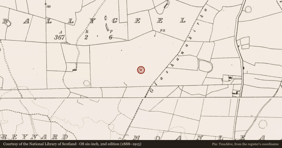 Ordnance Survey six-inch map, 2nd edition (1888–1915) covering the location of Ringfort - rath, Ballygeel, County Limerick, with a pin at the register's coordinates