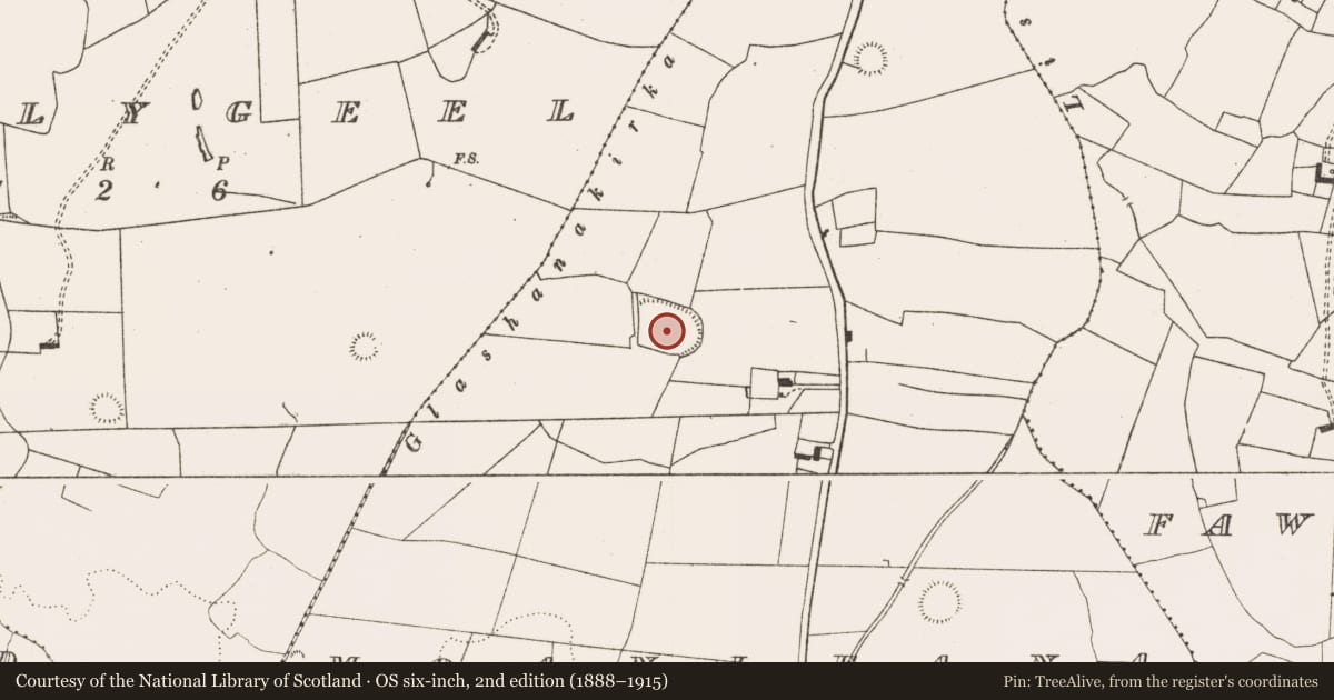 Ordnance Survey six-inch map, 2nd edition (1888–1915) covering the location of Enclosure, Moanleana, County Limerick, with a pin at the register's coordinates