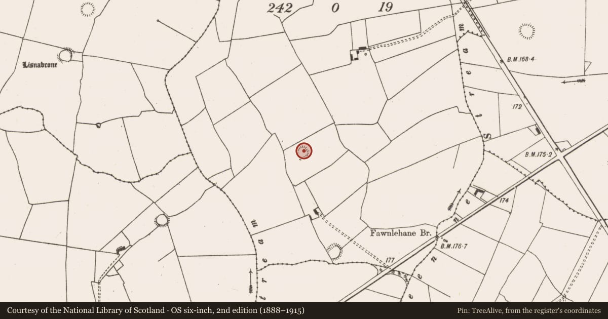Ordnance Survey six-inch map, 2nd edition (1888–1915) covering the location of Ringfort - rath, Ardnacrohy, County Limerick, with a pin at the register's coordinates