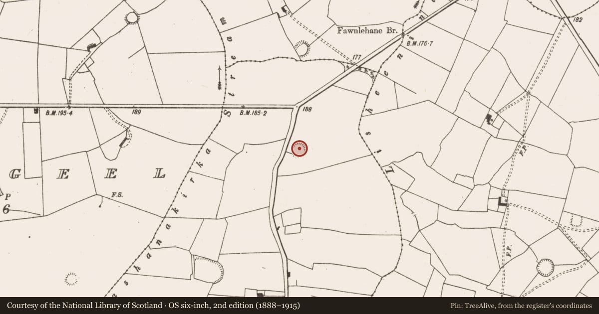 Ordnance Survey six-inch map, 2nd edition (1888–1915) covering the location of Ringfort - rath, Moanleana, County Limerick, with a pin at the register's coordinates