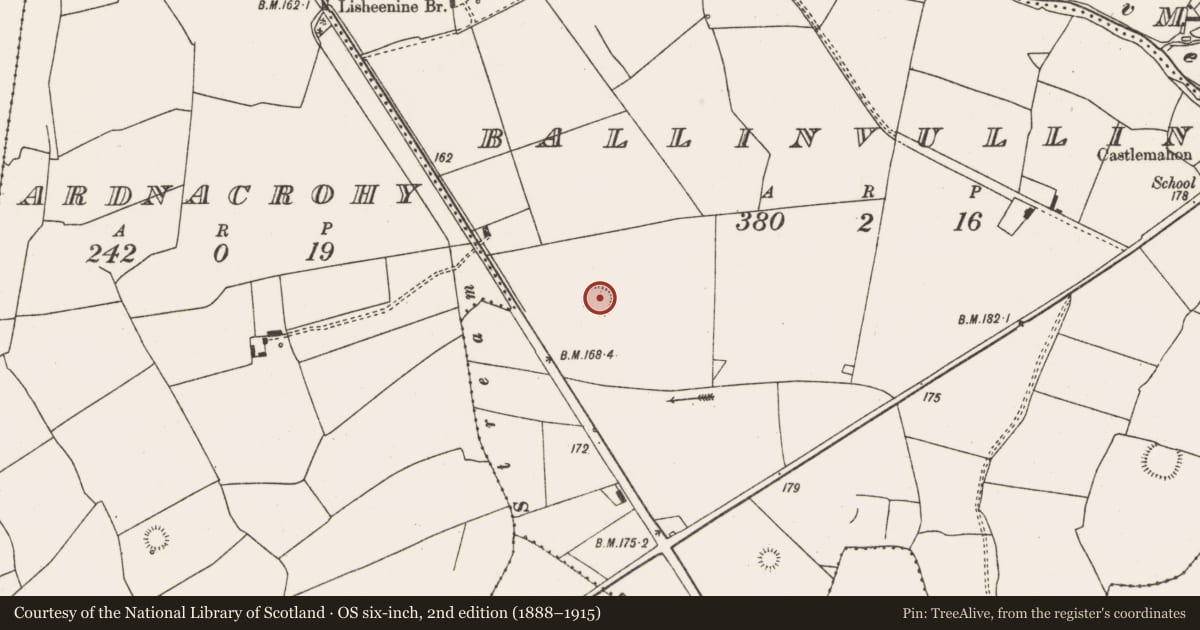 Ordnance Survey six-inch map, 2nd edition (1888–1915) covering the location of Ringfort - rath, Ballinvullin, County Limerick, with a pin at the register's coordinates