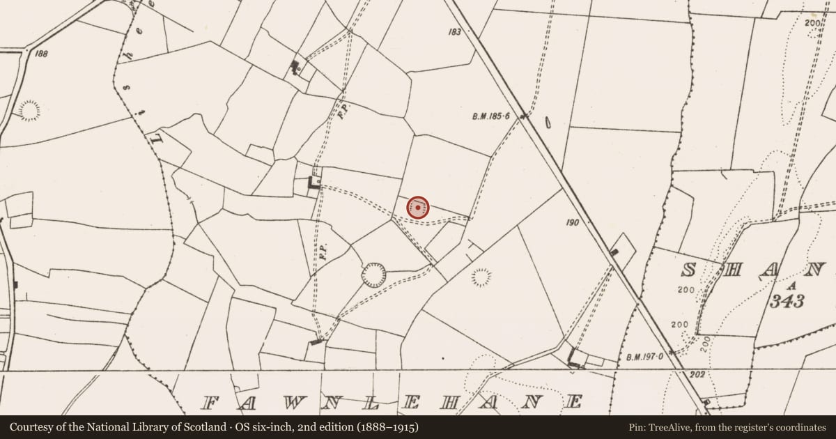 Ordnance Survey six-inch map, 2nd edition (1888–1915) covering the location of Moated site, Fawnlehane, County Limerick, with a pin at the register's coordinates