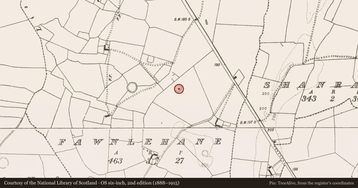 Ordnance Survey six-inch map, 2nd edition (1888–1915) covering the location of Ringfort - rath, Fawnlehane, County Limerick, with a pin at the register's coordinates