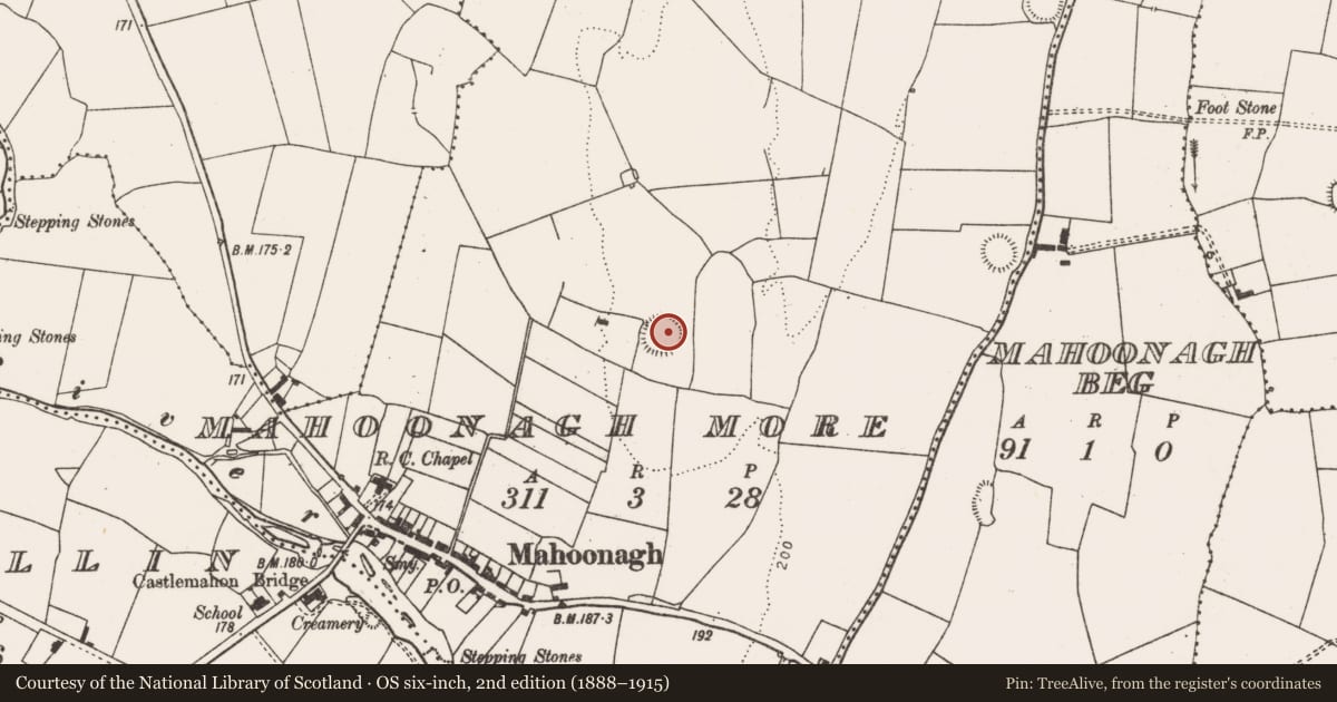Ordnance Survey six-inch map, 2nd edition (1888–1915) covering the location of Ringfort - rath, Mahoonagh More, County Limerick, with a pin at the register's coordinates