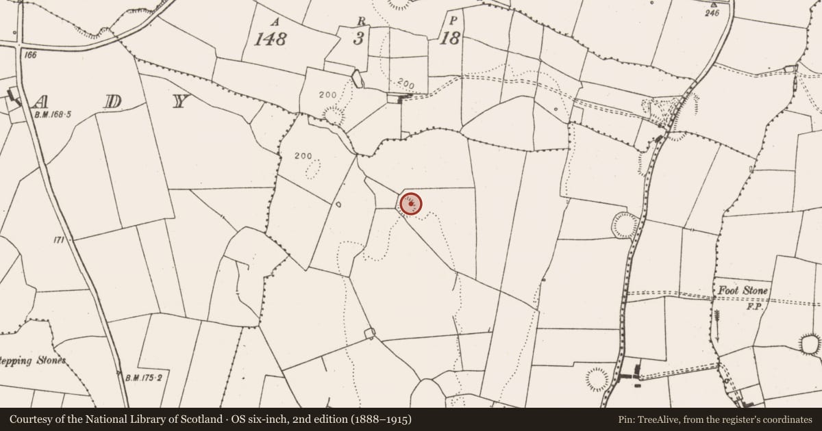 Ordnance Survey six-inch map, 2nd edition (1888–1915) covering the location of Ringfort - rath, Mahoonagh More, County Limerick, with a pin at the register's coordinates