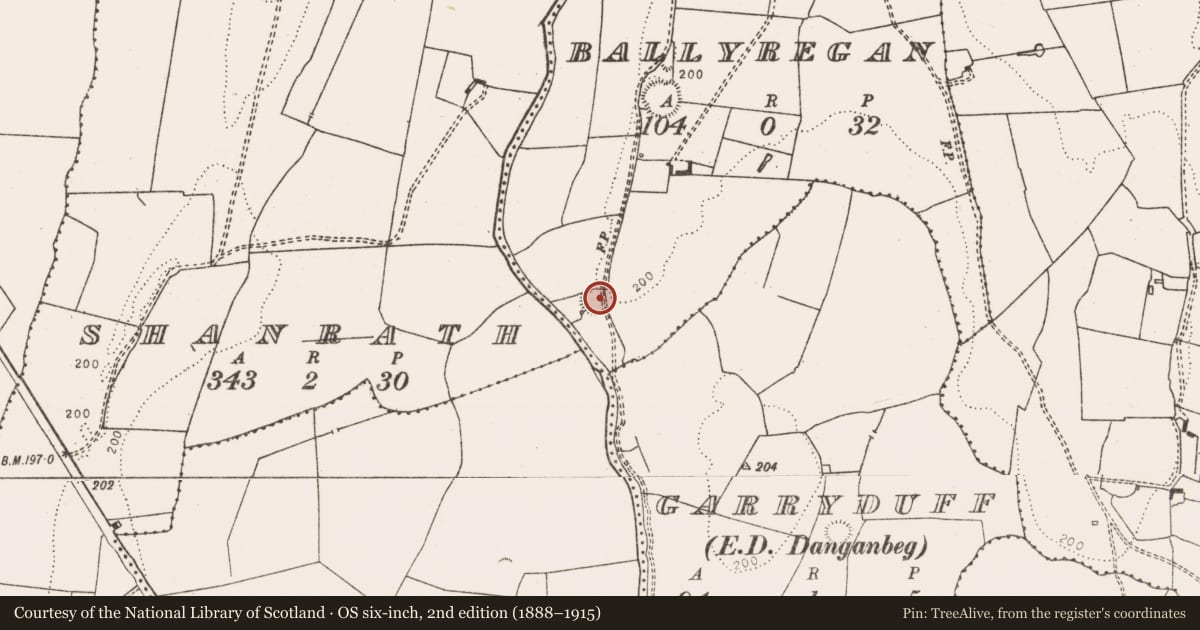 Ordnance Survey six-inch map, 2nd edition (1888–1915) covering the location of Ringfort - rath, Ballyregan, County Limerick, with a pin at the register's coordinates