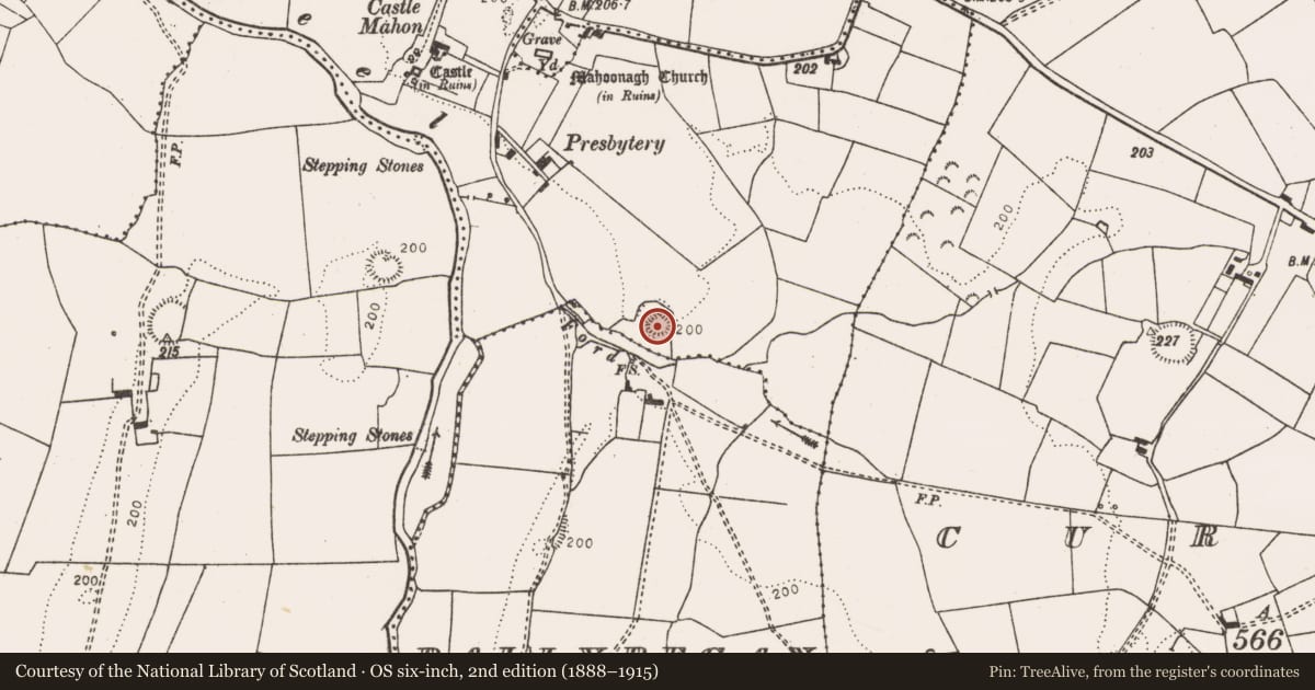 Ordnance Survey six-inch map, 2nd edition (1888–1915) covering the location of Castle - motte, Mahoonagh More, County Limerick, with a pin at the register's coordinates
