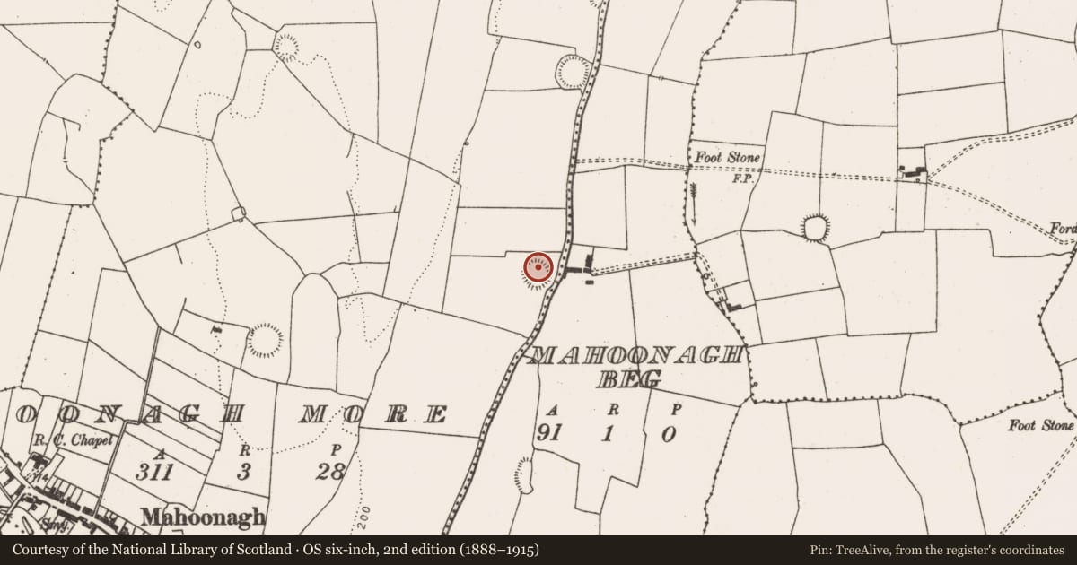 Ordnance Survey six-inch map, 2nd edition (1888–1915) covering the location of Ringfort - rath, Mahoonagh More, County Limerick, with a pin at the register's coordinates