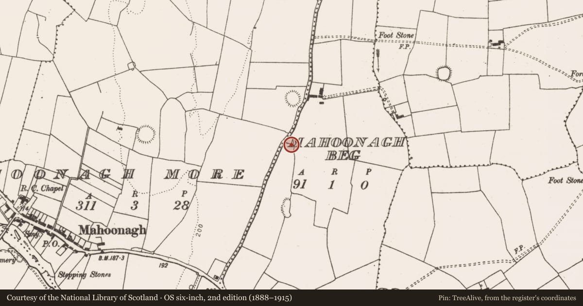 Ordnance Survey six-inch map, 2nd edition (1888–1915) covering the location of Enclosure, Mahoonagh Beg, County Limerick, with a pin at the register's coordinates