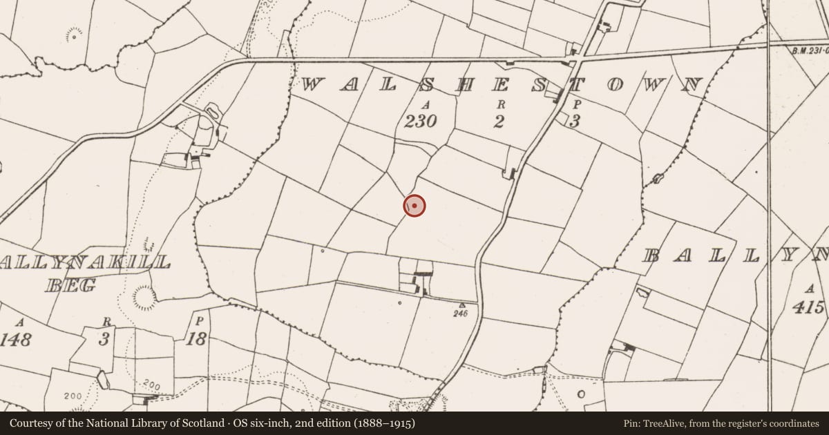 Ordnance Survey six-inch map, 2nd edition (1888–1915) covering the location of Ringfort - rath, Walshestown, County Limerick, with a pin at the register's coordinates