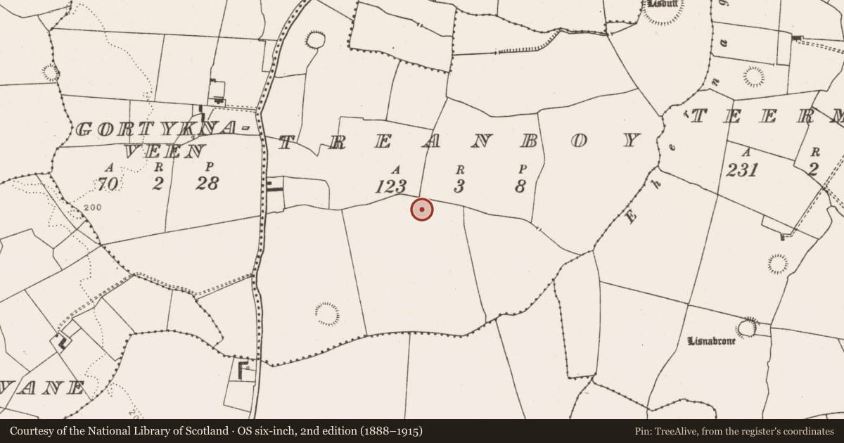 Ordnance Survey six-inch map, 2nd edition (1888–1915) covering the location of Ringfort - rath, Treanboy, County Limerick, with a pin at the register's coordinates