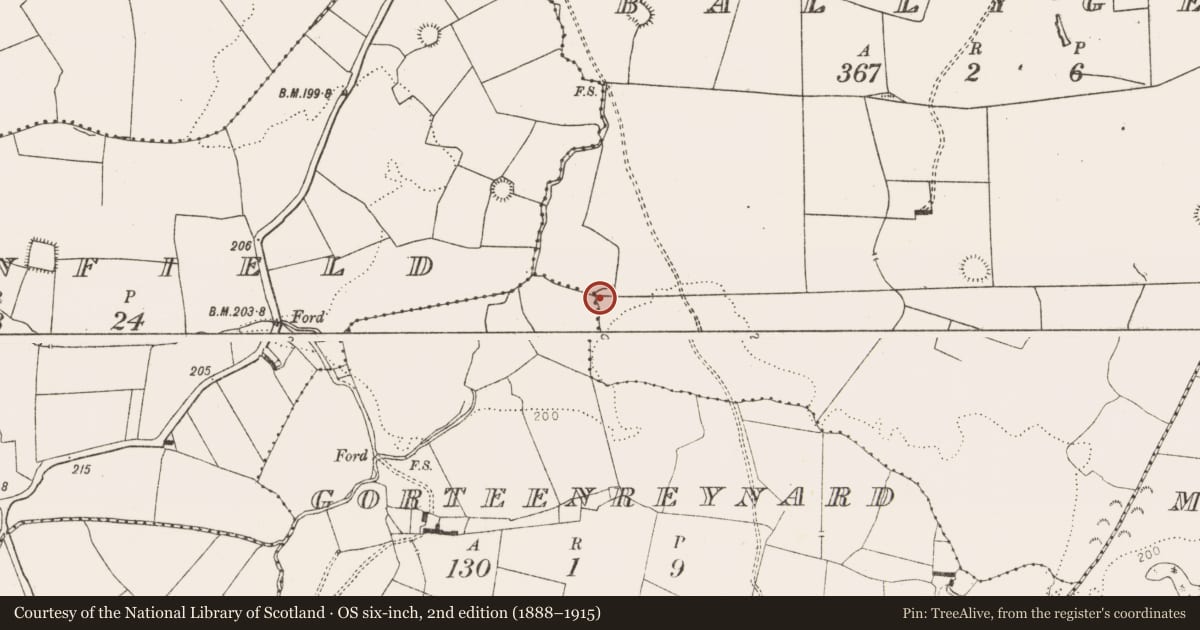 Ordnance Survey six-inch map, 2nd edition (1888–1915) covering the location of Ringfort - rath, Ballygeel, County Limerick, with a pin at the register's coordinates
