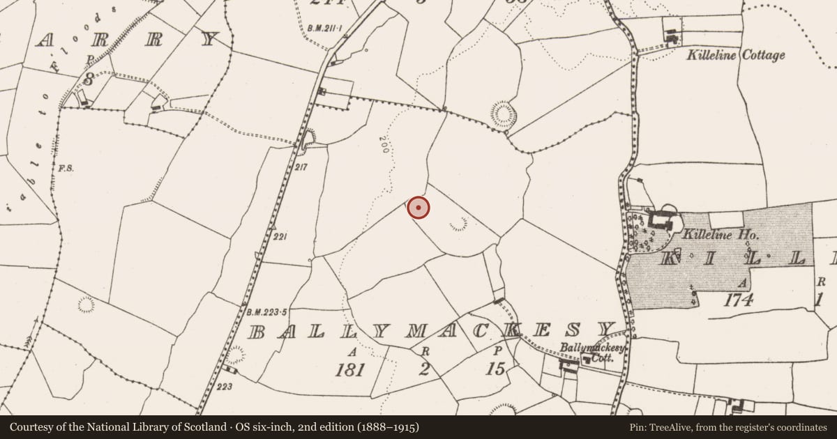 Ordnance Survey six-inch map, 2nd edition (1888–1915) covering the location of Ringfort - rath, Ballymackesy, County Limerick, with a pin at the register's coordinates