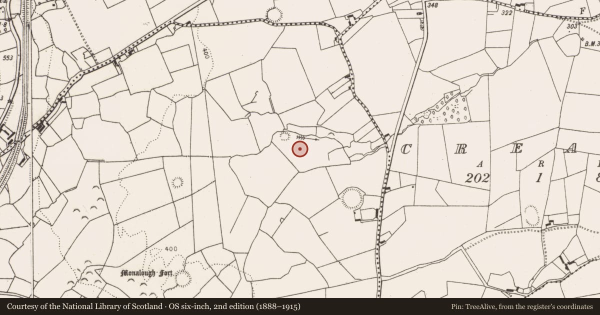 Ordnance Survey six-inch map, 2nd edition (1888–1915) covering the location of Ringfort - rath, Ballymurragh East, County Limerick, with a pin at the register's coordinates