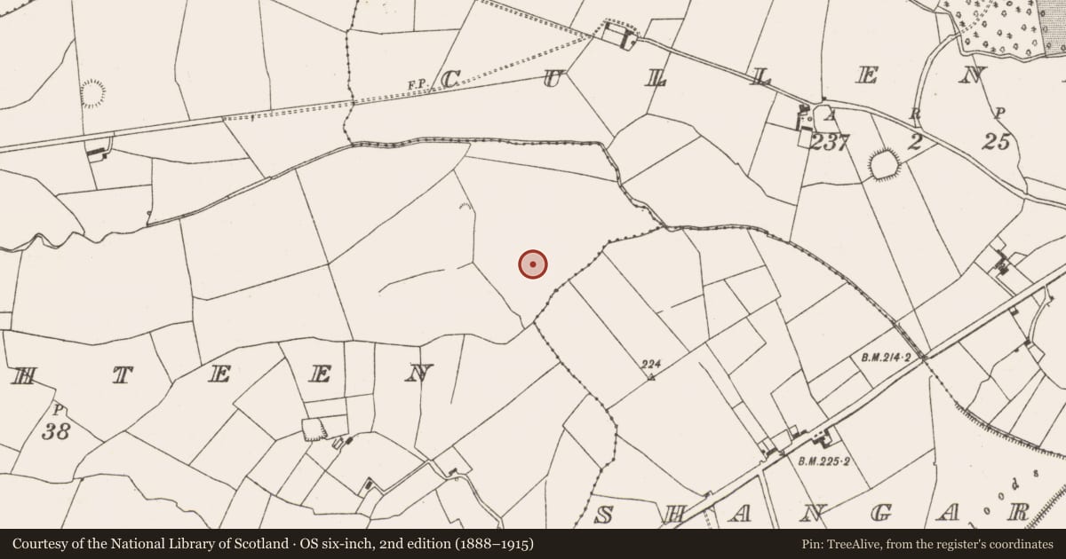 Ordnance Survey six-inch map, 2nd edition (1888–1915) covering the location of Ringfort - rath, Killaghteen, County Limerick, with a pin at the register's coordinates