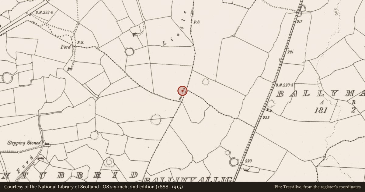 Ordnance Survey six-inch map, 2nd edition (1888–1915) covering the location of Enclosure, Shangarry, County Limerick, with a pin at the register's coordinates