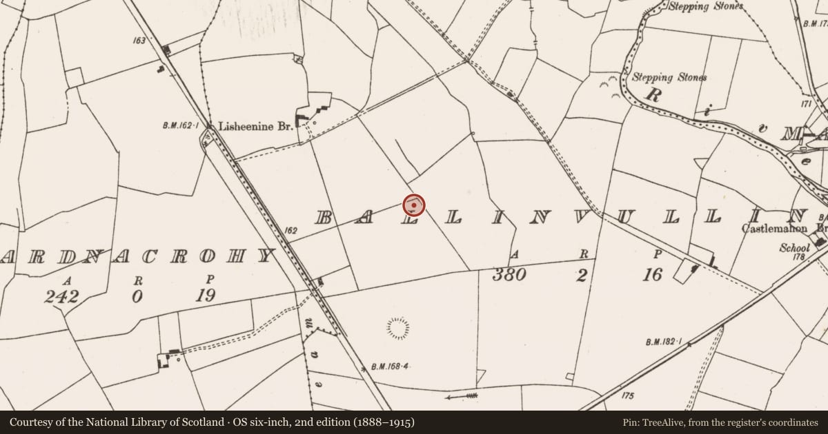 Ordnance Survey six-inch map, 2nd edition (1888–1915) covering the location of Enclosure, Ballinvullin, County Limerick, with a pin at the register's coordinates