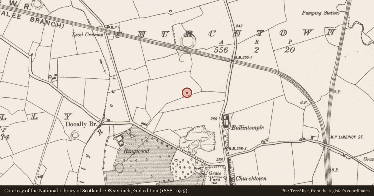 Ordnance Survey six-inch map, 2nd edition (1888–1915) covering the location of Enclosure, Churchtown, County Limerick, with a pin at the register's coordinates