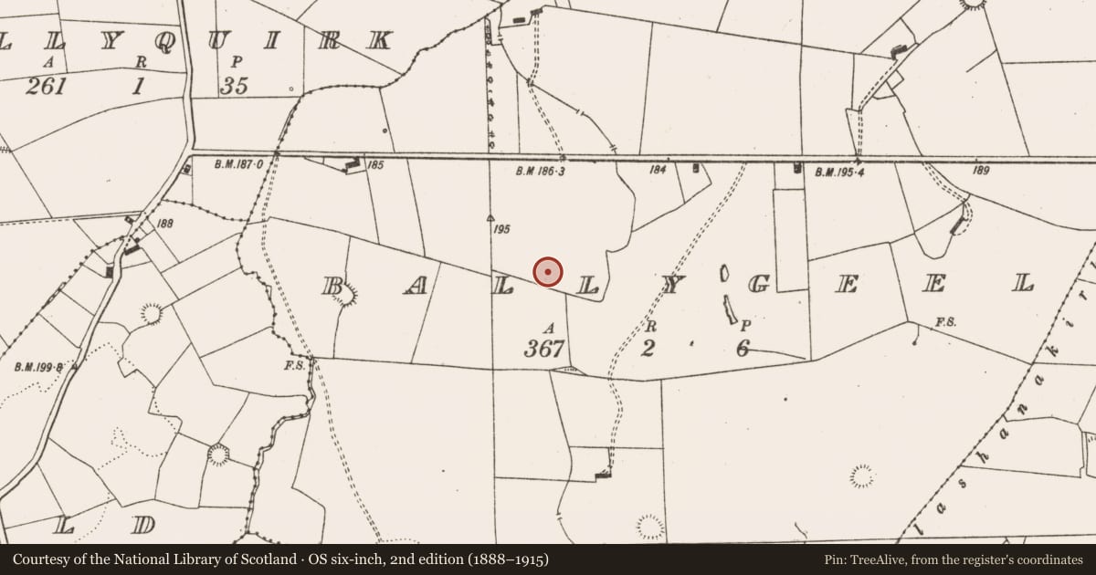 Ordnance Survey six-inch map, 2nd edition (1888–1915) covering the location of Enclosure, Ballygeel, County Limerick, with a pin at the register's coordinates