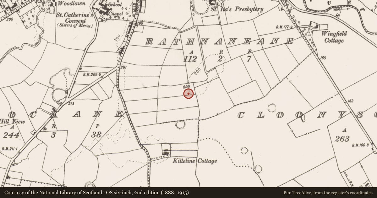 Ordnance Survey six-inch map, 2nd edition (1888–1915) covering the location of Excavation - miscellaneous, Rathnaneane, County Limerick, with a pin at the register's coordinates