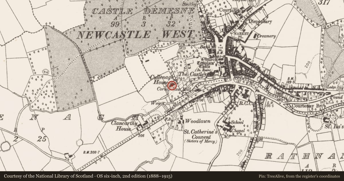 Ordnance Survey six-inch map, 2nd edition (1888–1915) covering the location of Country house, Castle Demesne, County Limerick, with a pin at the register's coordinates