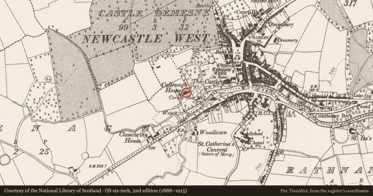 Ordnance Survey six-inch map, 2nd edition (1888–1915) covering the location of Well, Castle Demesne, County Limerick, with a pin at the register's coordinates