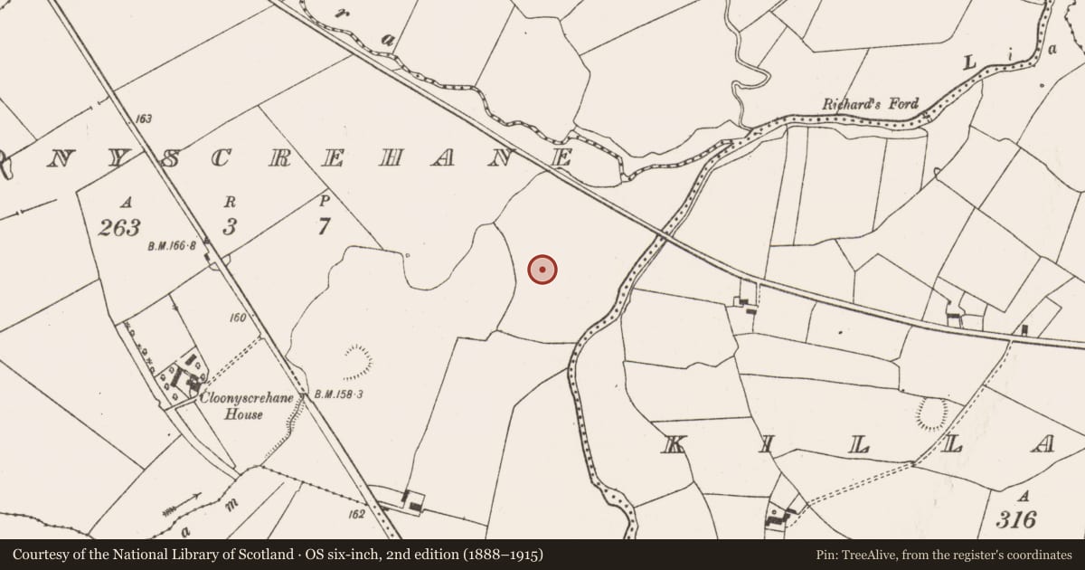 Ordnance Survey six-inch map, 2nd edition (1888–1915) covering the location of Enclosure - large enclosure, Cloonyscrehane, County Limerick, with a pin at the register's coordinates