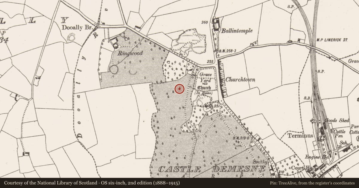 Ordnance Survey six-inch map, 2nd edition (1888–1915) covering the location of Enclosure, Castle Demesne, County Limerick, with a pin at the register's coordinates