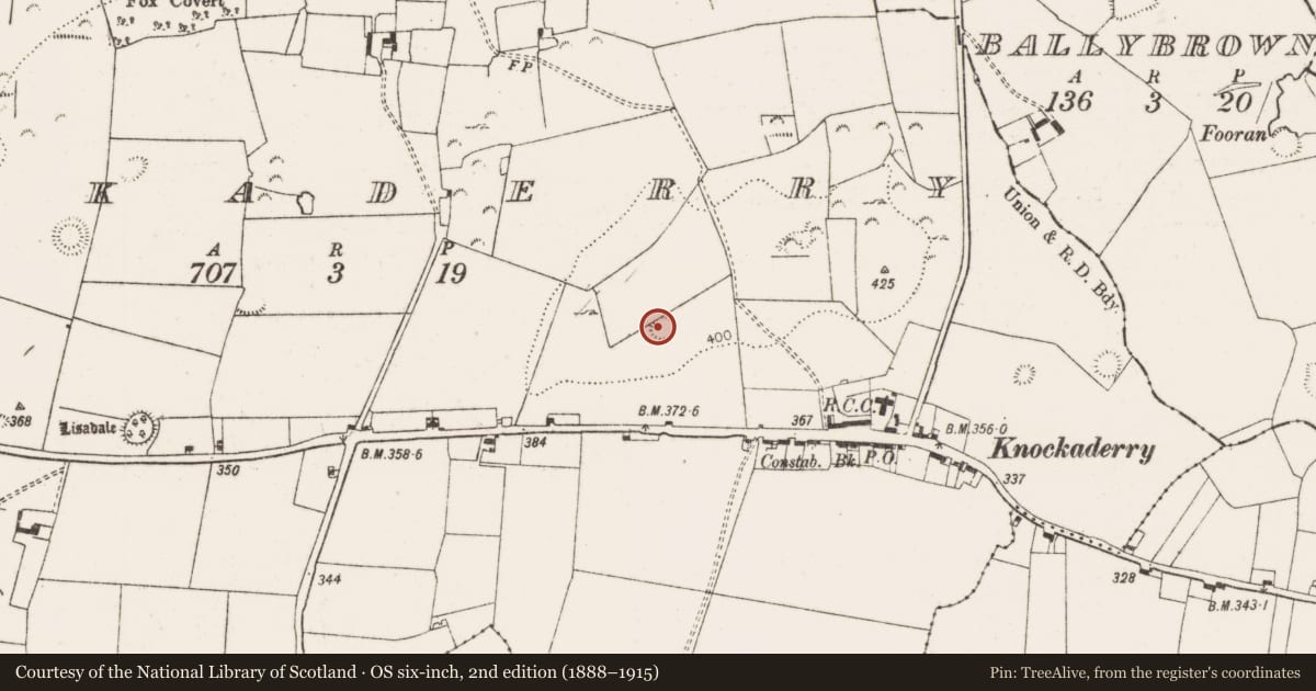 Ordnance Survey six-inch map, 2nd edition (1888–1915) covering the location of Ringfort - rath, Knockaderry, County Limerick, with a pin at the register's coordinates