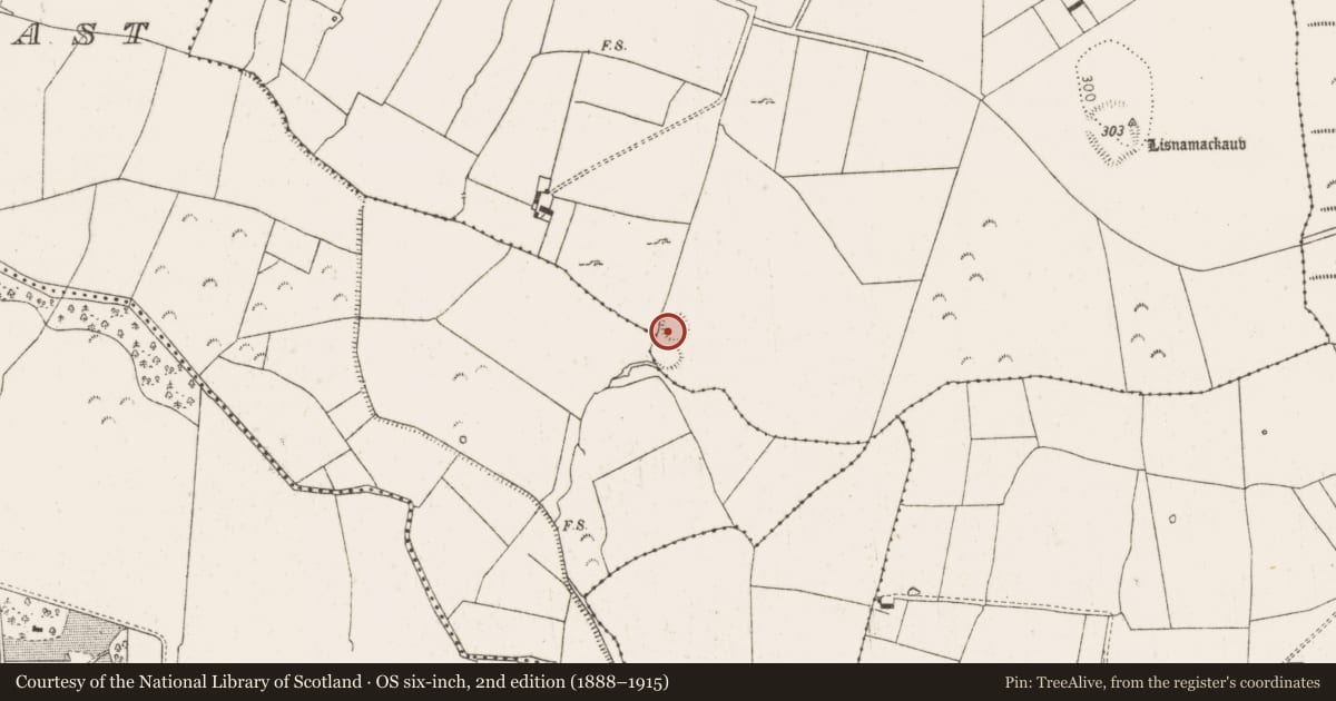 Ordnance Survey six-inch map, 2nd edition (1888–1915) covering the location of Ringfort - rath, Kiltanna, County Limerick, with a pin at the register's coordinates