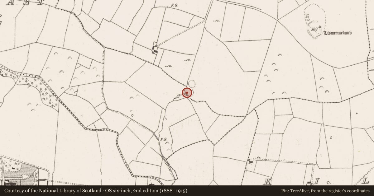 Ordnance Survey six-inch map, 2nd edition (1888–1915) covering the location of Ringfort - rath, Kiltanna, County Limerick, with a pin at the register's coordinates