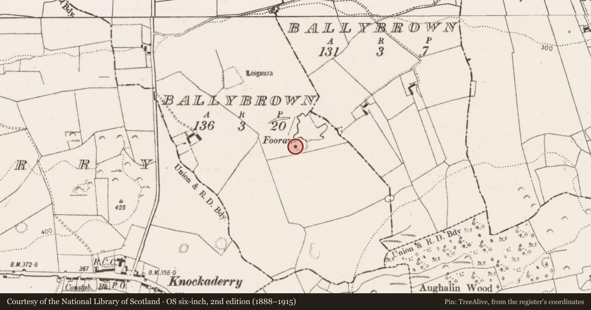 Ordnance Survey six-inch map, 2nd edition (1888–1915) covering the location of Ringfort - rath, Ballybrown, County Limerick, with a pin at the register's coordinates