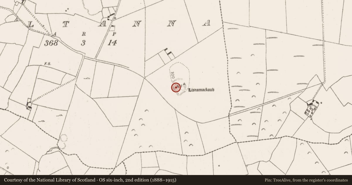 Ordnance Survey six-inch map, 2nd edition (1888–1915) covering the location of Moated site, Kiltanna, County Limerick, with a pin at the register's coordinates