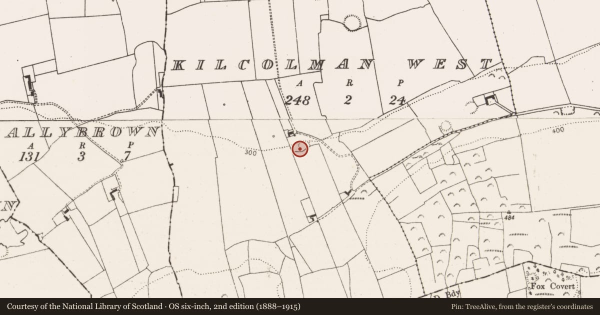 Ordnance Survey six-inch map, 2nd edition (1888–1915) covering the location of Enclosure, Kilcolman West, County Limerick, with a pin at the register's coordinates