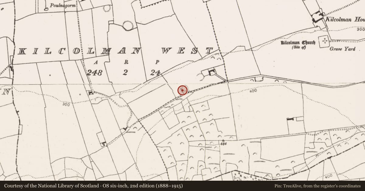 Ordnance Survey six-inch map, 2nd edition (1888–1915) covering the location of Ringfort - rath, Kilcolman West, County Limerick, with a pin at the register's coordinates