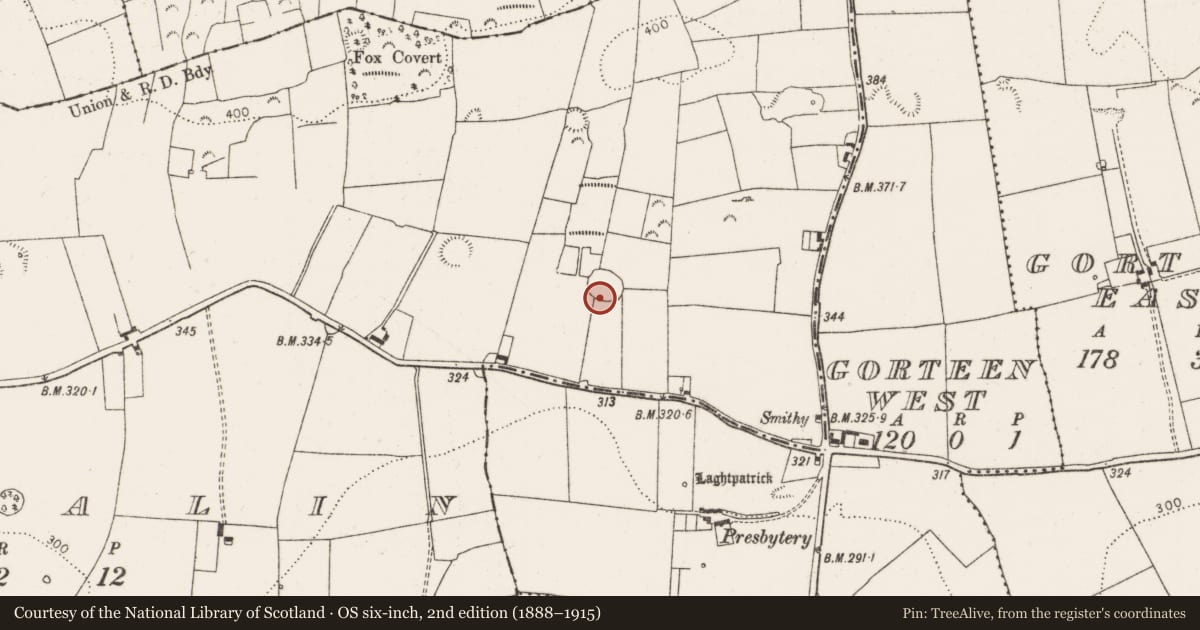 Ordnance Survey six-inch map, 2nd edition (1888–1915) covering the location of Enclosure, Aughalin, County Limerick, with a pin at the register's coordinates