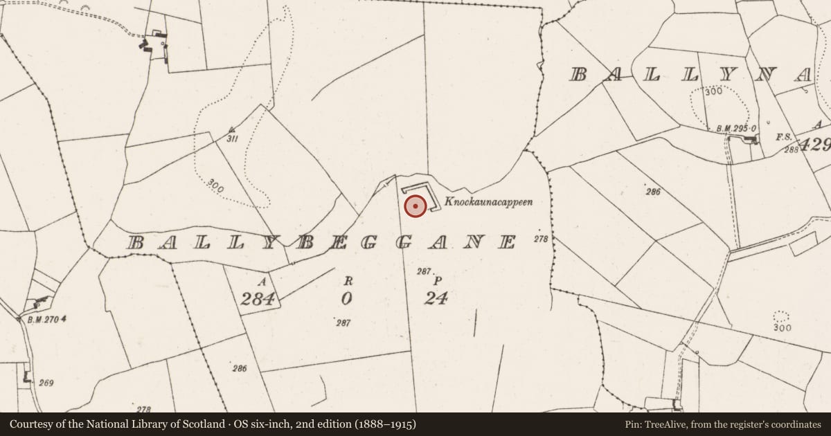 Ordnance Survey six-inch map, 2nd edition (1888–1915) covering the location of Moated site, Ballybeggane, County Limerick, with a pin at the register's coordinates