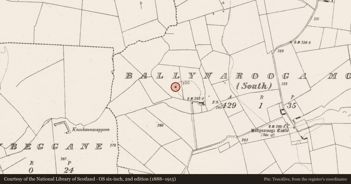 Ordnance Survey six-inch map, 2nd edition (1888–1915) covering the location of Barrow - ring-barrow, Ballynarooga More South, County Limerick, with a pin at the register's coordinates