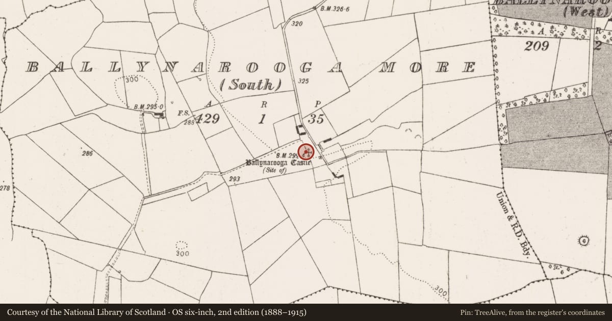 Ordnance Survey six-inch map, 2nd edition (1888–1915) covering the location of Castle - unclassified, Ballynarooga More South, County Limerick, with a pin at the register's coordinates