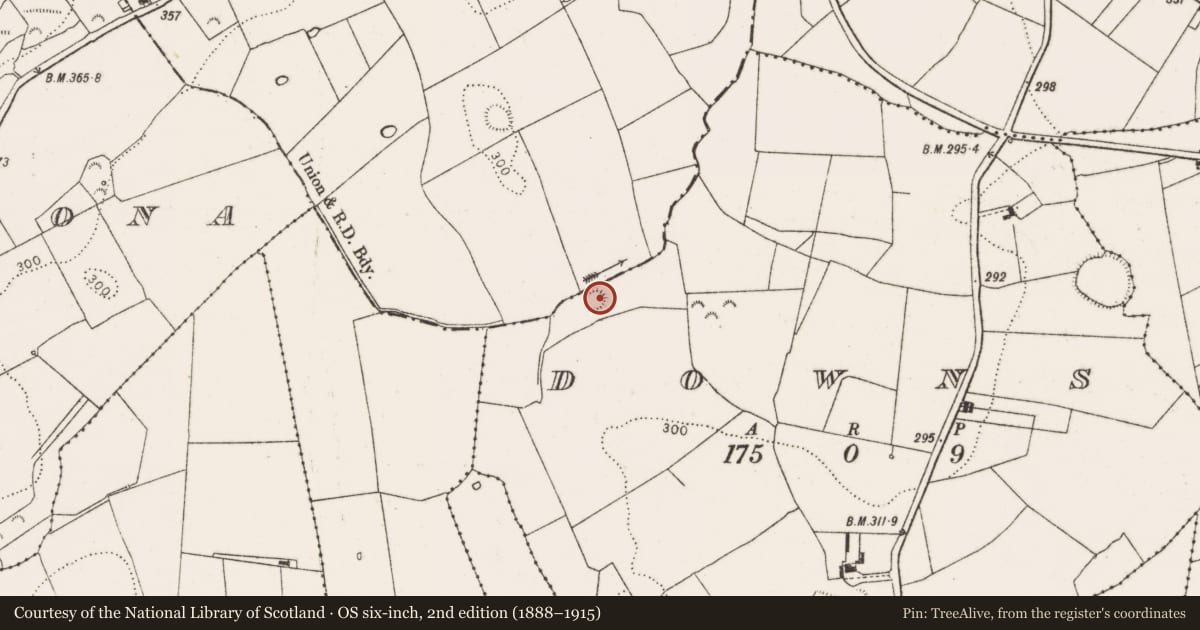 Ordnance Survey six-inch map, 2nd edition (1888–1915) covering the location of Ringfort - rath, Downs, County Limerick, with a pin at the register's coordinates