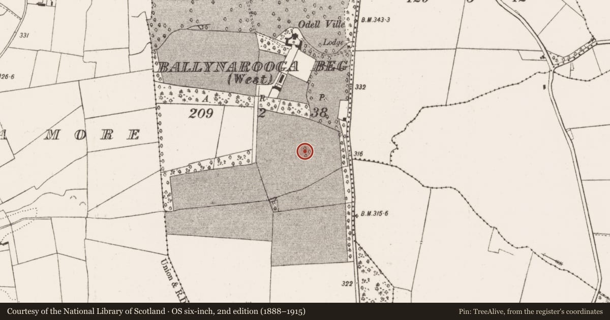 Ordnance Survey six-inch map, 2nd edition (1888–1915) covering the location of Ringfort - rath, Ballynarooga Beg, County Limerick, with a pin at the register's coordinates