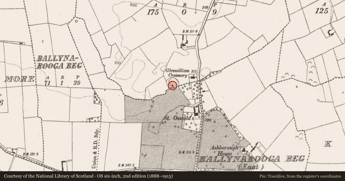 Ordnance Survey six-inch map, 2nd edition (1888–1915) covering the location of Enclosure, Downs, County Limerick, with a pin at the register's coordinates