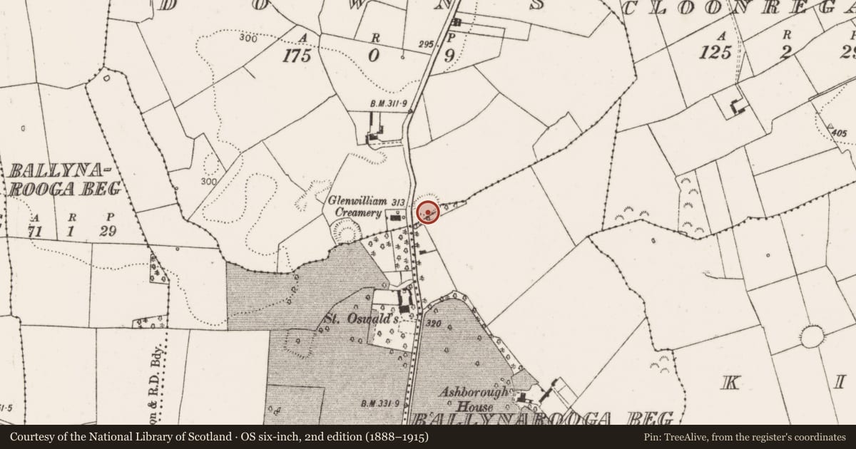 Ordnance Survey six-inch map, 2nd edition (1888–1915) covering the location of Enclosure, Downs, County Limerick, with a pin at the register's coordinates