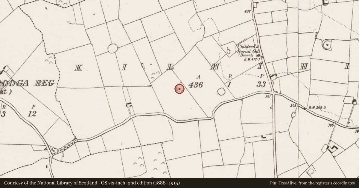 Ordnance Survey six-inch map, 2nd edition (1888–1915) covering the location of Enclosure, Kilmihil, County Limerick, with a pin at the register's coordinates